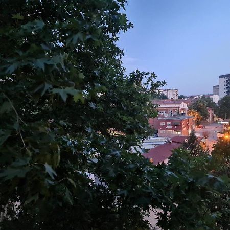 Center Cosy Apartment سكوبجي المظهر الخارجي الصورة