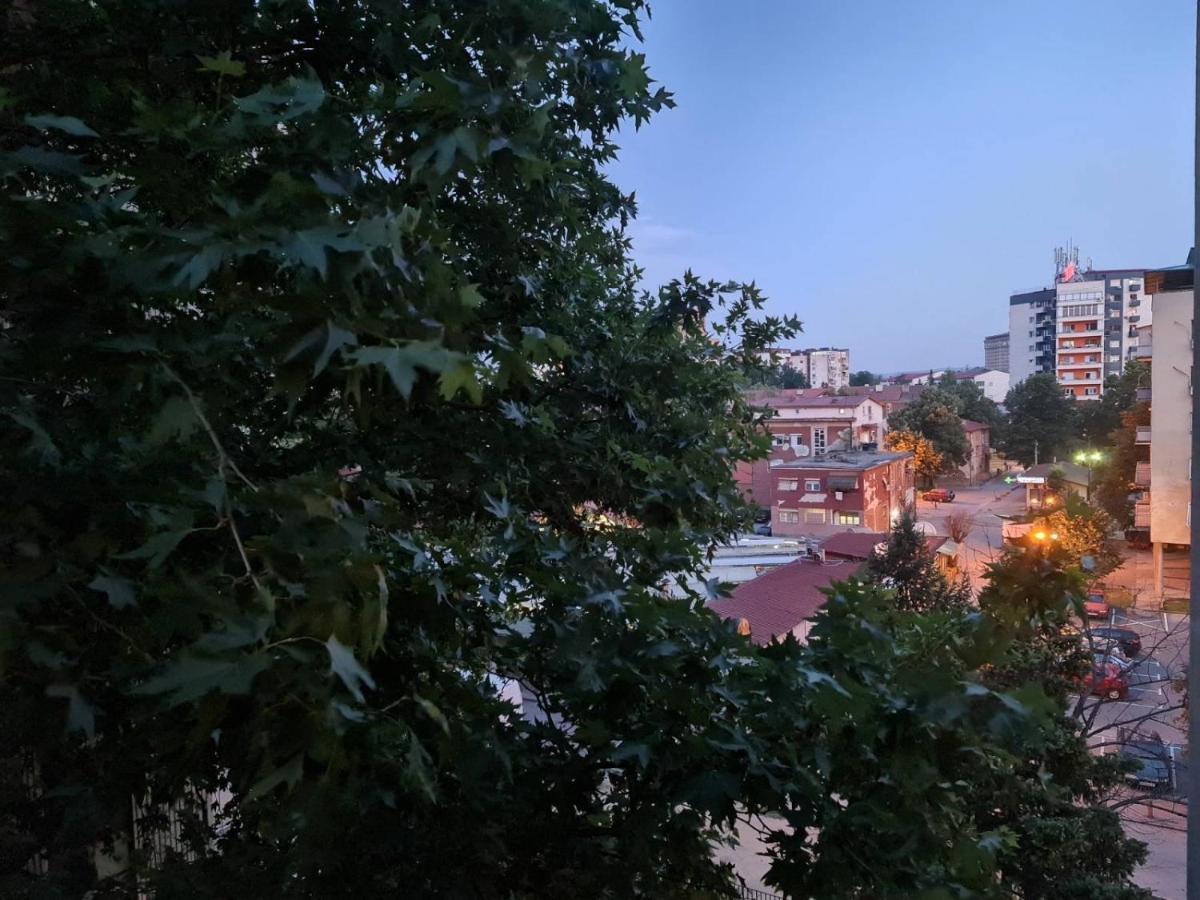 Center Cosy Apartment سكوبجي المظهر الخارجي الصورة